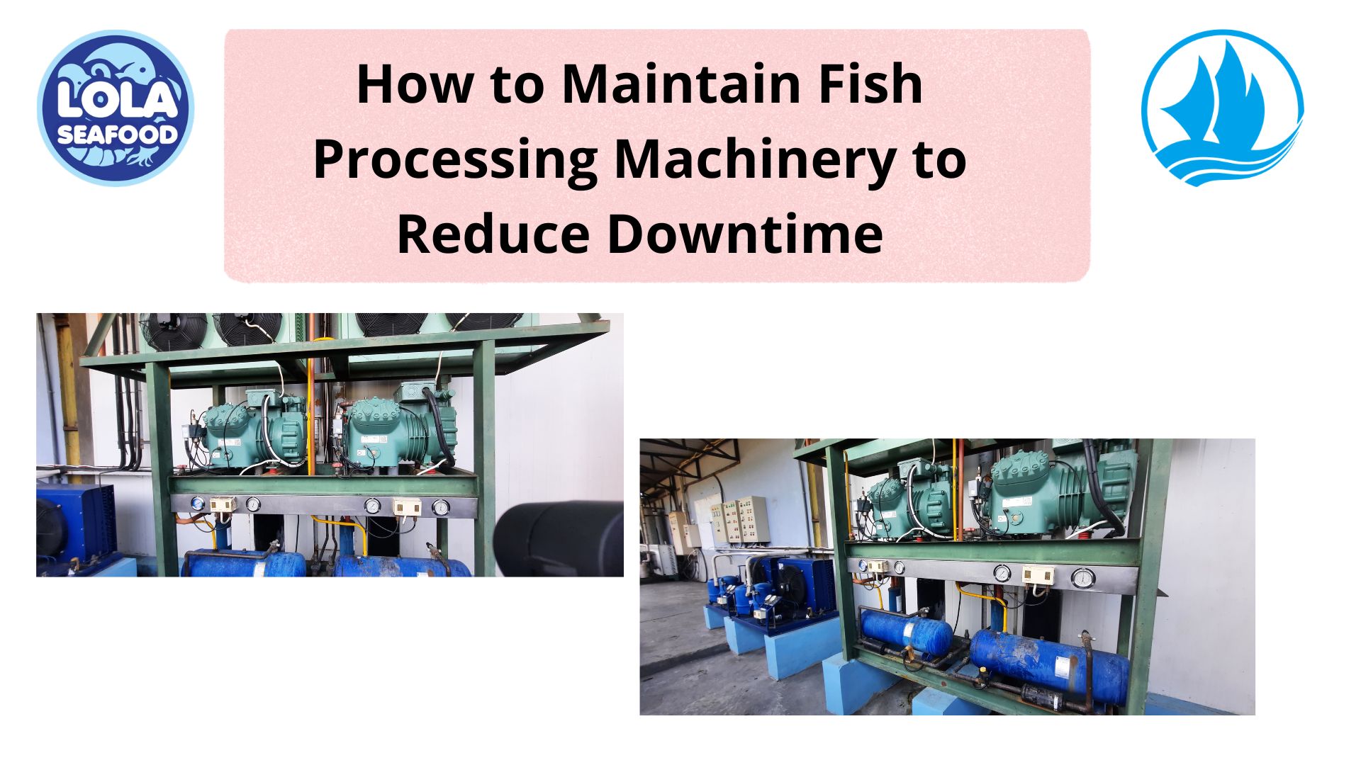 How to Maintain Fish Processing Machinery to Reduce Downtime